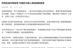 时报：风电机组并网发电 中国利来w66驶入新能源新赛道